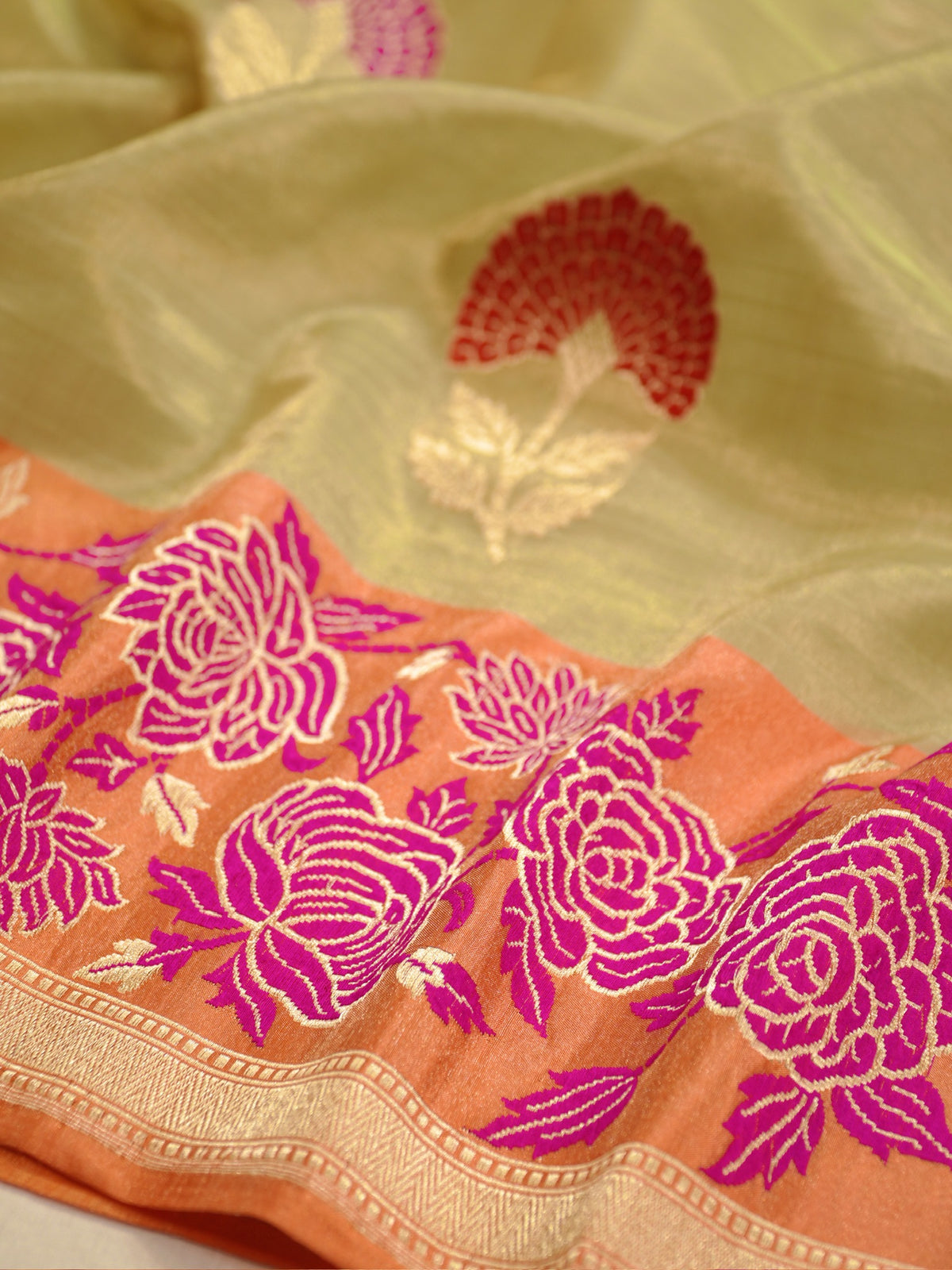 Pista Gold Pure Tissue Silk Kadiyal Border Banarasi handwoven Saree