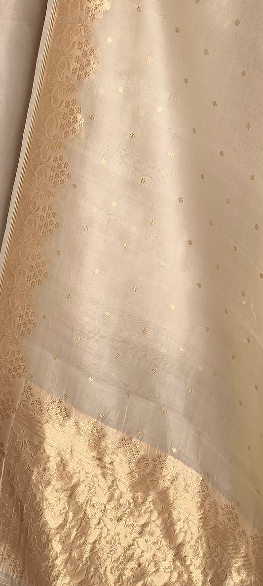 Warm Pure Tissue Silk Zari Border Aanchal Saree