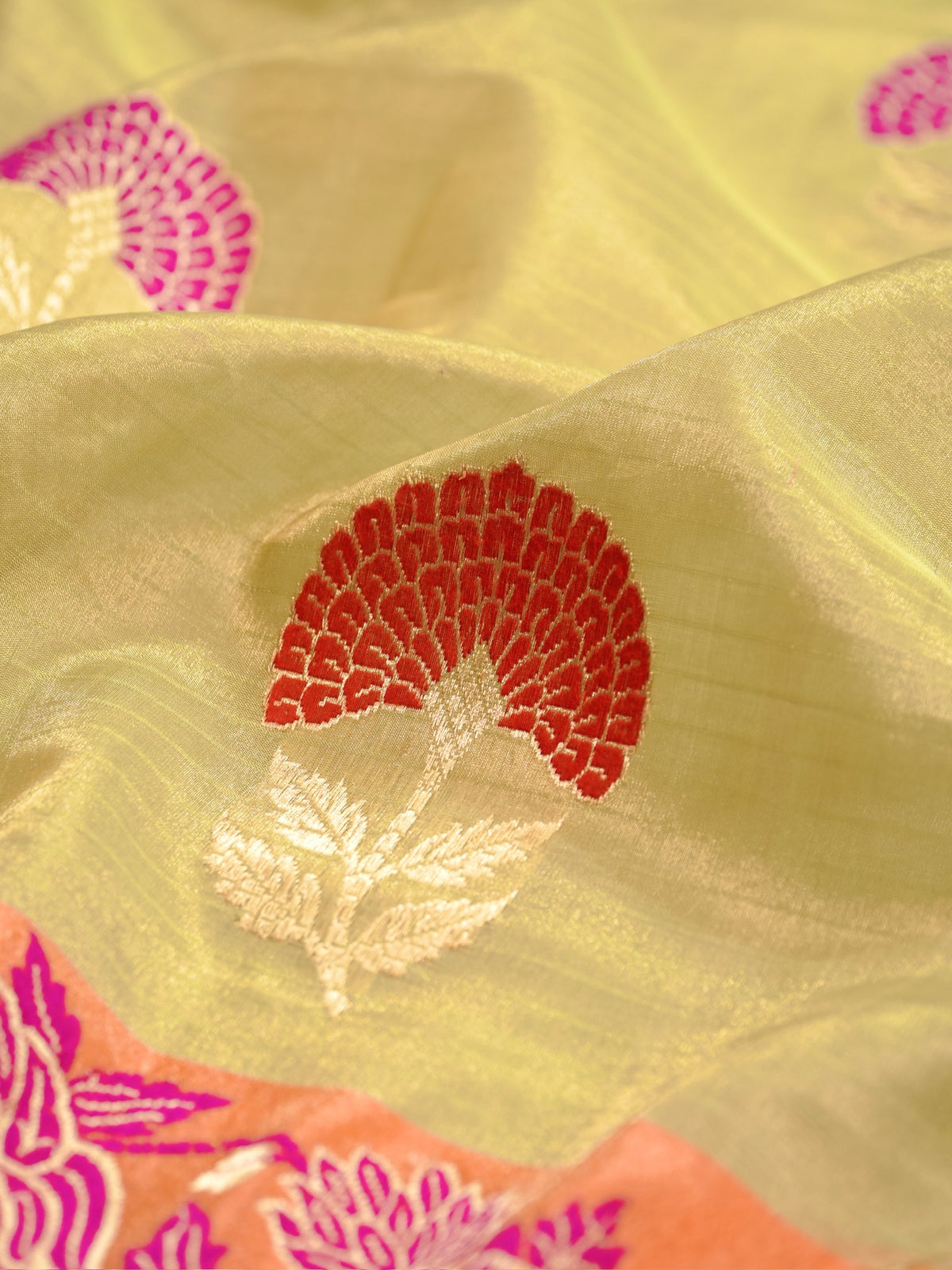Pista Gold Pure Tissue Silk Kadiyal Border Banarasi handwoven Saree