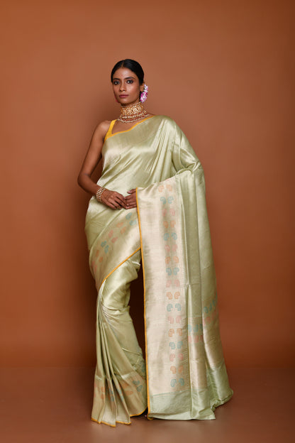 Mastery of Silk in Tanchoi Handwoven Banarasi Saree