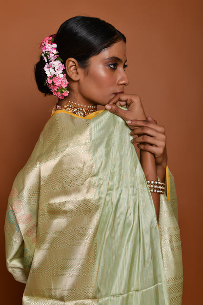 Mastery of Silk in Tanchoi Handwoven Banarasi Saree